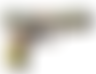 Steps to Sell Your Gun Legally and Safely: A Comprehensive Guide