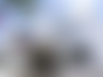 licitaciones públicas