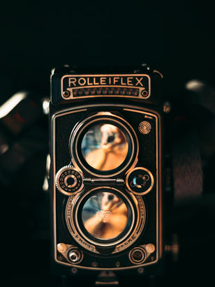Exploring Medium Format Photography with the Timeless Rolleiflex 3.5E and Home Developing Tips