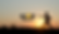 Content Banners.png