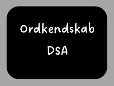 Ordkendskab DSA.png