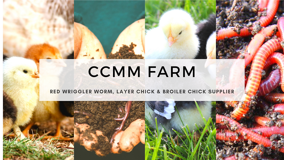 CCMM FARM1 (1).png