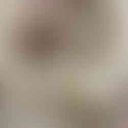 Process of removing poo stuck on dog's butthole