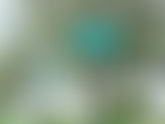 Sangerfield Considers Tank For Bigger Fuel Storage