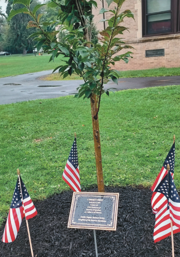 Liberty Tree Dedication At CCS