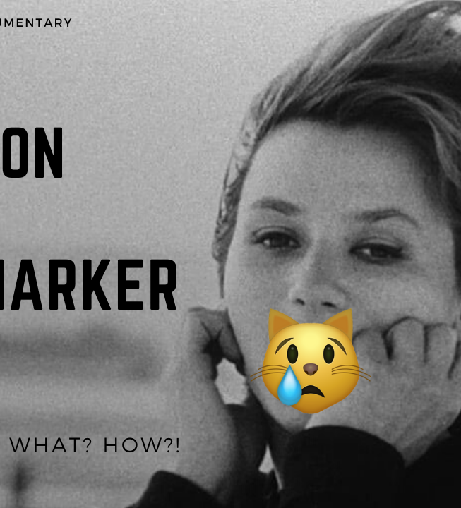 The Invention of Chris Marker.png
