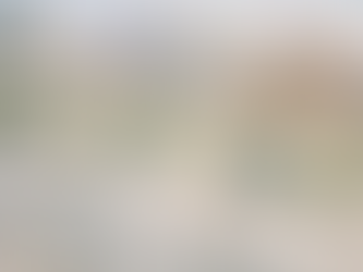 A Daufuskie Island Dream: Casey & Blaine’s Haig Point Wedding Weekend