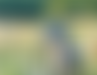 It’s the Little Things: 5 Simple Additions to Wow Your Wedding Guests