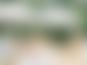 Meet the Fall 2022 Team!