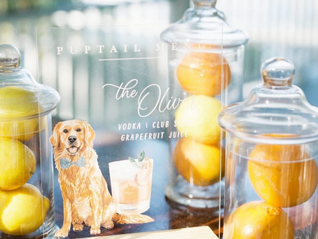 Pet-Friendly Weddings: Thoughtful Ways to Include Your Beloved Pets