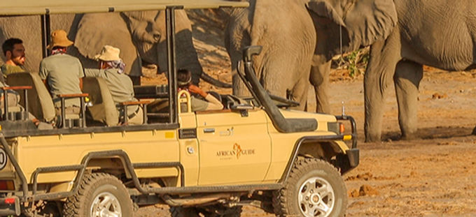 Elephant Vehicle Kwapa_edited.jpg