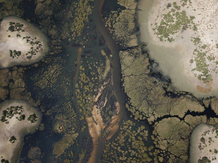 The Changing Flood
