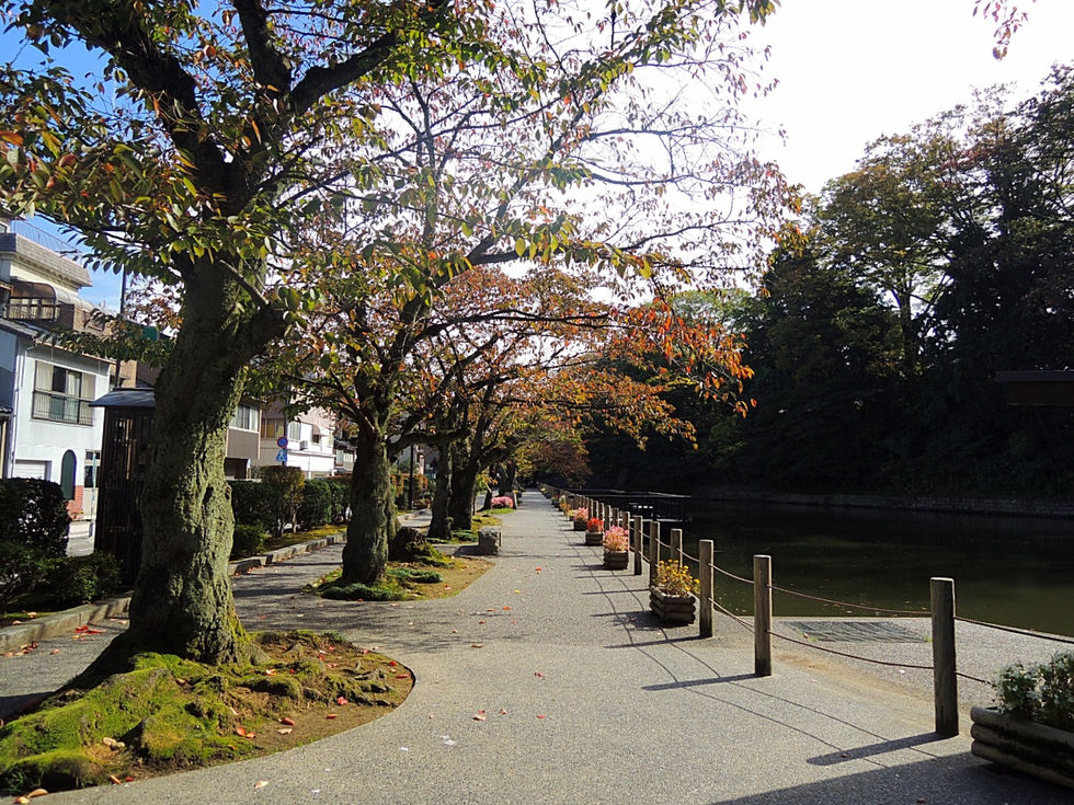 [ 2016 秋日本 ] 離開京都一路向北：金澤