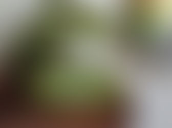 [ Handmade ] 抹茶比較。小山園若竹、一保堂初昔、靜岡濱佐園