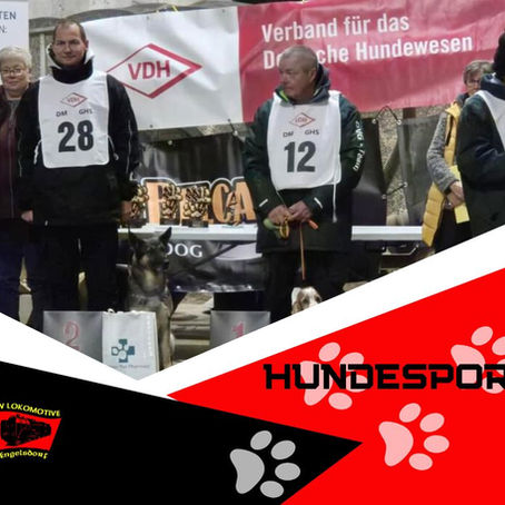 VDH Meisterschaft der Fährtenhunde 2024 vom 15.11.24 bis 17.10.24 in Schönberg
