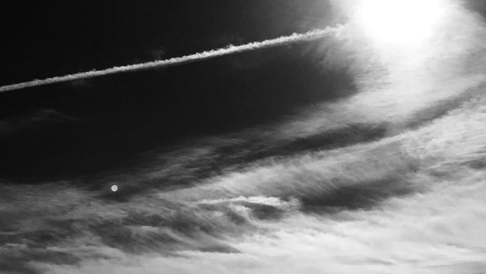 FullSizeRender 131.jpeg