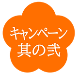 キャンペーンその2@2x.png