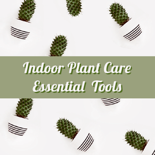 Indoor Plant care essential tools