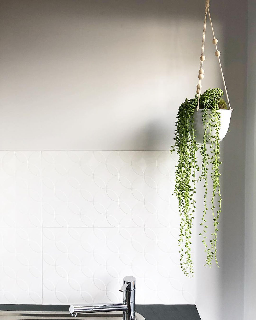 Houseplants Decor Ideas Hanging Pot
