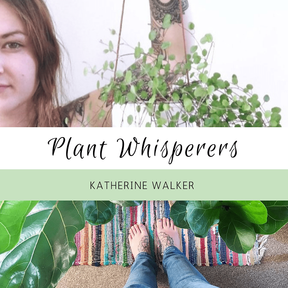Plant Whisperers: Katherine Walker