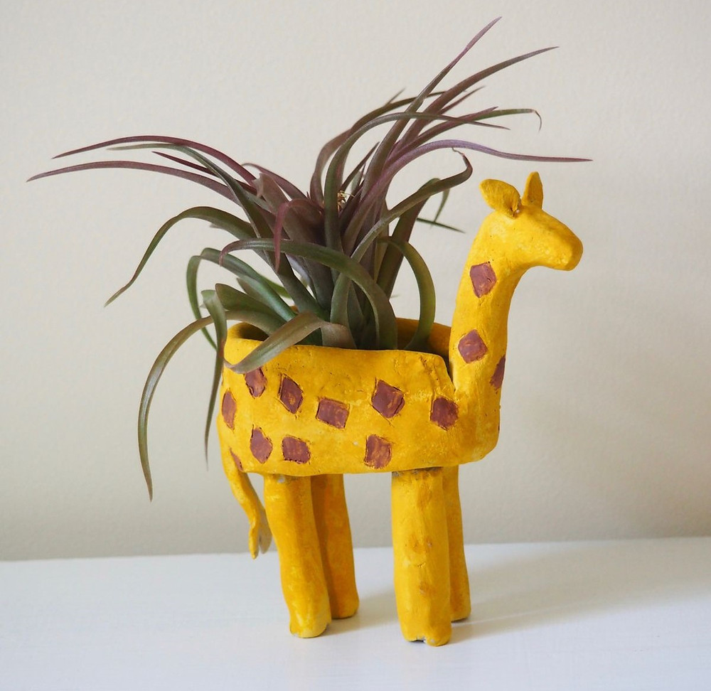 Tiny Cute Planters To Hold Your Baby Plants