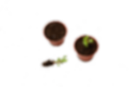 _MG_8251 - Copia-min (2).png