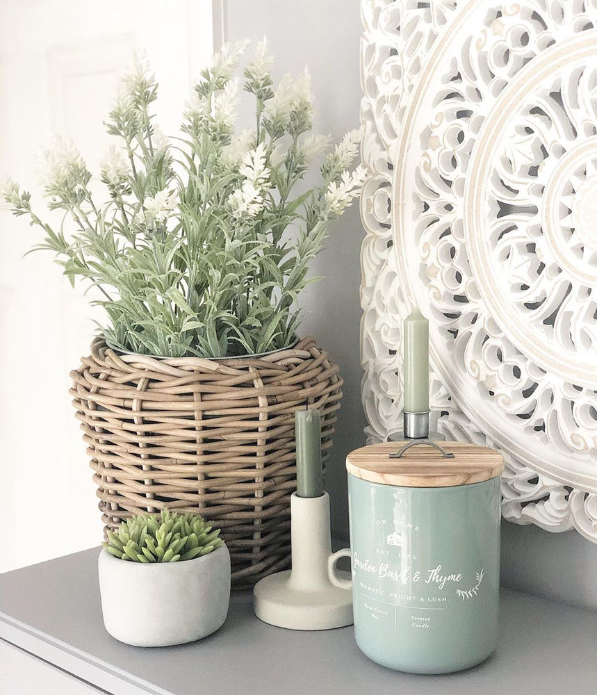 Best MoodBoosting Plants