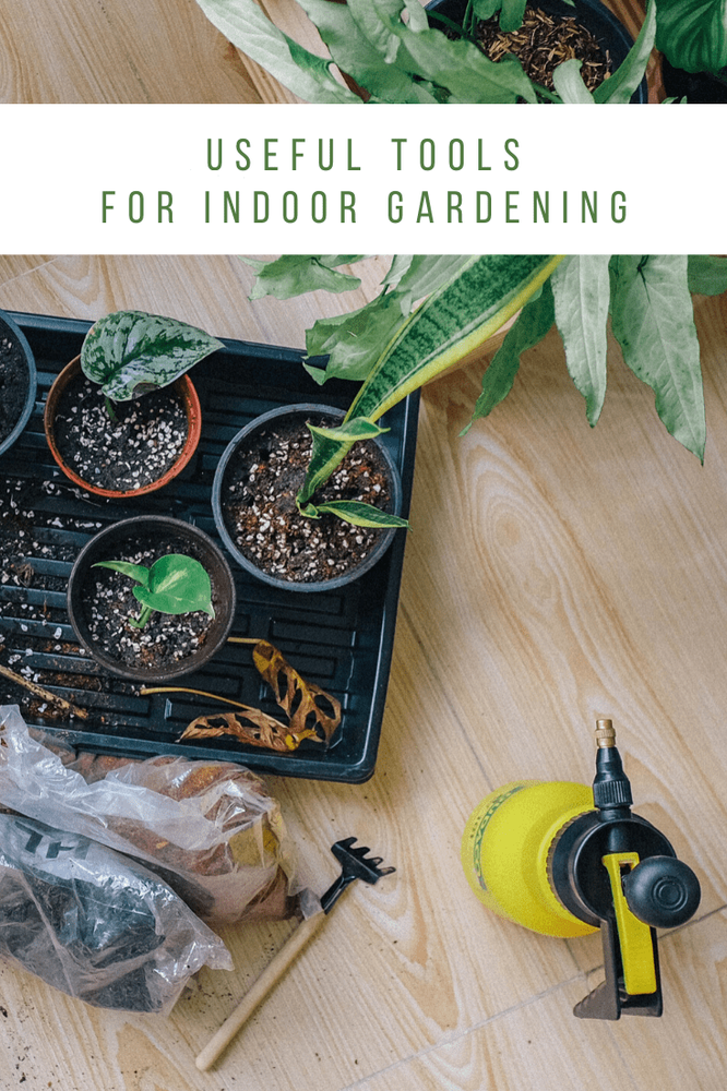 Useful Tools for Indoor Gardening