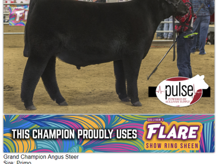 Hoosier Beef Congress 2017 Results