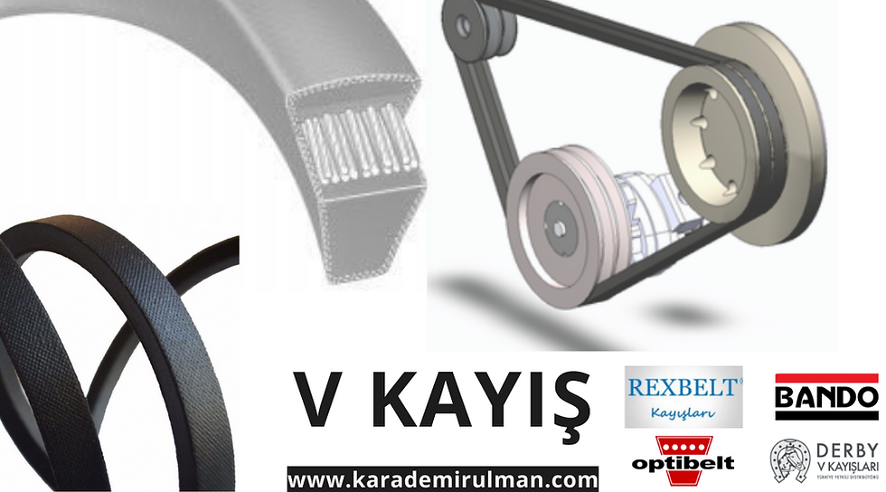V KAYIŞ ÇEŞİT VE ÖZELLİKLERİ