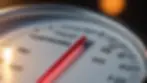 Close-up view of a thermometer showing temperature in a brooding area