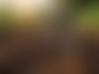 Mastering the Stirrup Hoe: A Guide to Weeding, Fitness, and Wellness in Your Garden