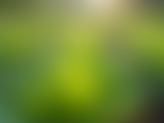 Daily Well-Being Tips to Nourish Your Mind and Body