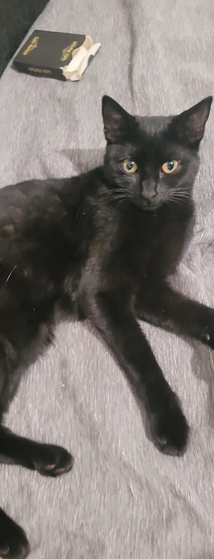 Mimi.jpg