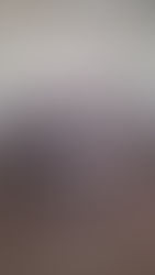 Rückblick hair flicks & chair whips