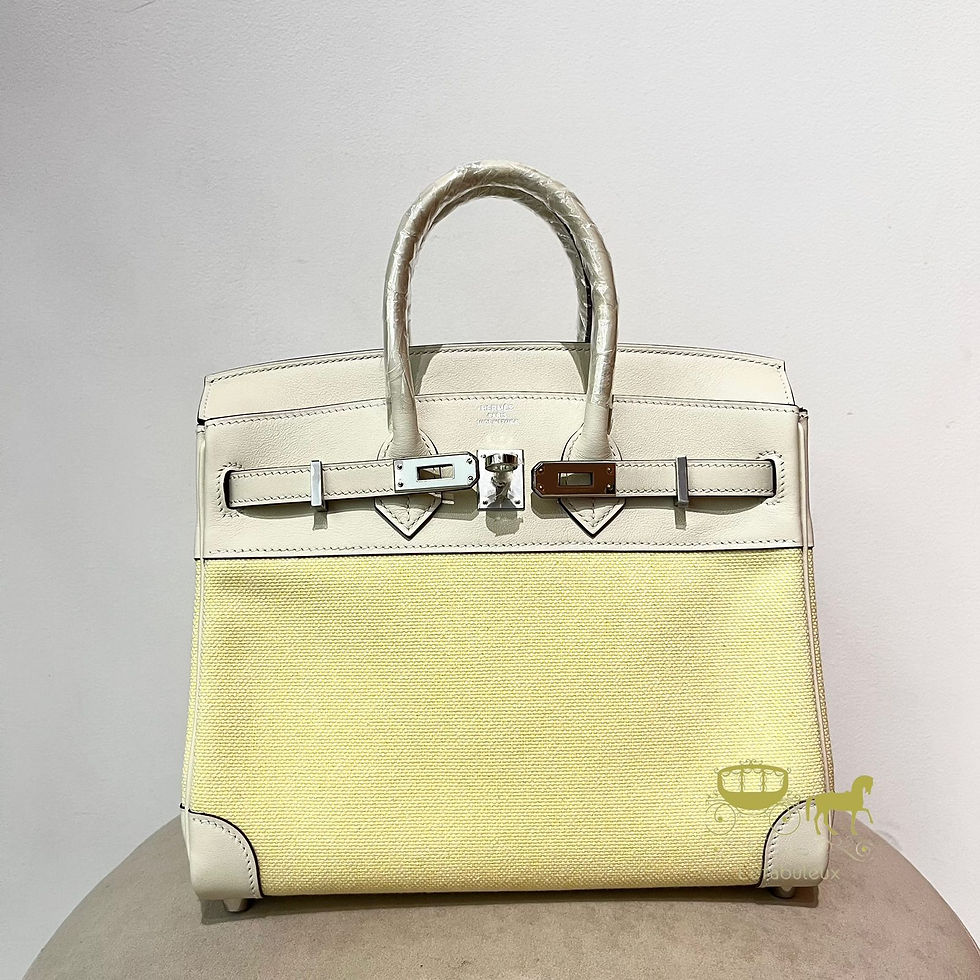 Hermès Birkin 25