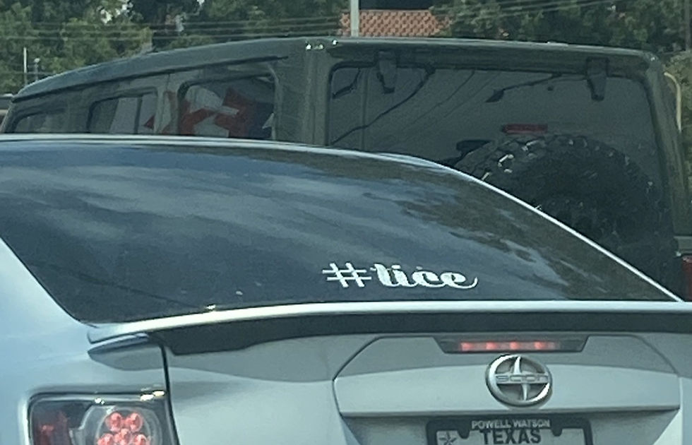 This vinyl cutout sure looks like 'lice' until you get close enough for contact.