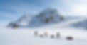 land1.png