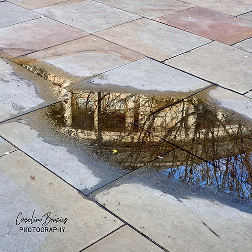 Library Reflection Library Reflection | CarolineBenzies2020