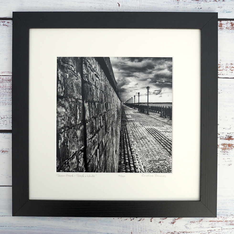 Thumbnail: Storm Front - Black & White