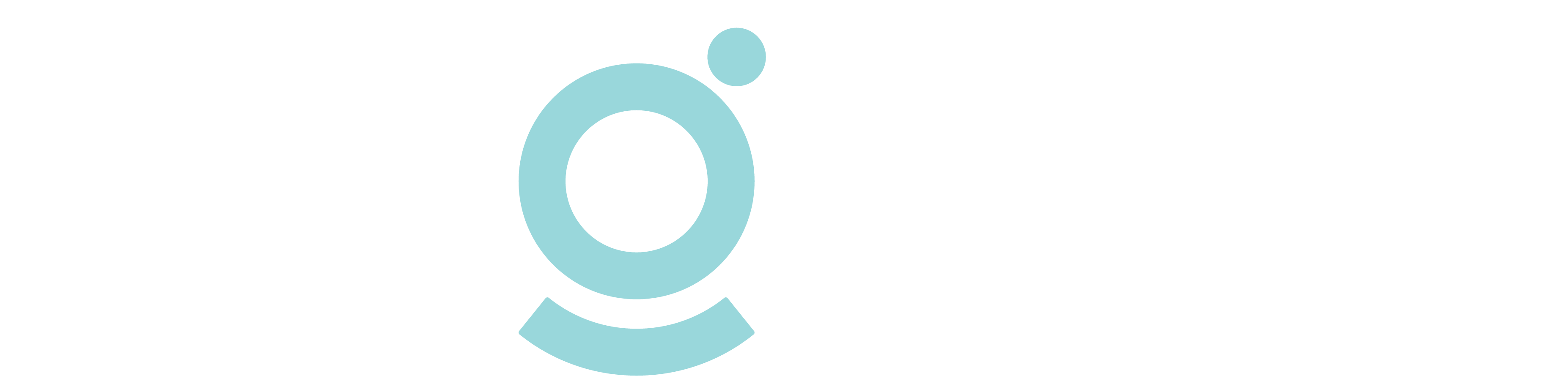 vagoda LOGO png.png