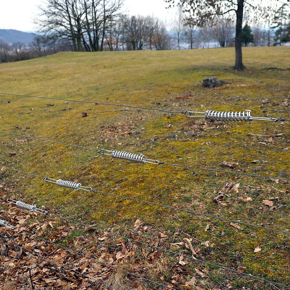 Thumbnail: Tension Spring