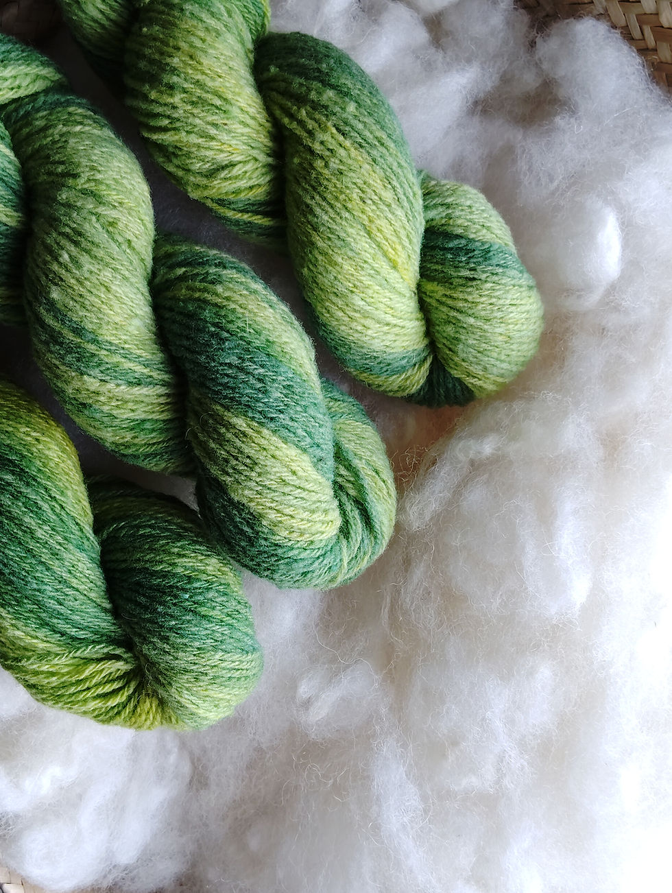 Miniature : la mérinos - DK