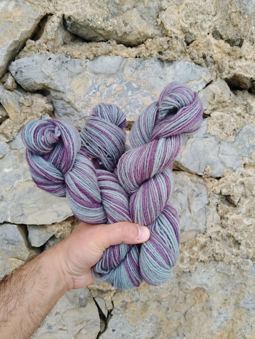 Miniature : la tarasco