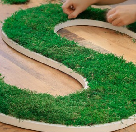 Molses-musgos-preservados-absorvente-acustico