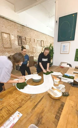 Molses-musgos-preservados-absorbente-acústico