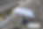 76cb6d63-9ce3-4acd-bc95-6c5f426f48f3