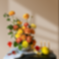 IMG_3450.PNG