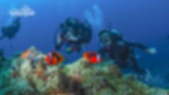 Scuba Diving