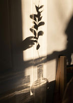 pexels-jill-burrow-6681867 (1).jpg